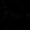 tdatxyz.69