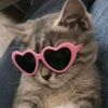 about_me026