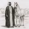 user8072212810480