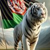afghan_zalmai33