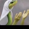 erfan.jafari55