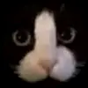 matzxml2