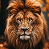 mohammad.alkurdi14