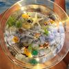 fish_bottl3
