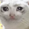 mokumoko_._