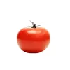 pomidor920
