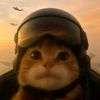 aby_0.5