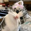 kaimookmshop