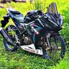 farel53851