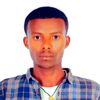 user9181212441461