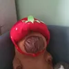 yarik_fonarik6