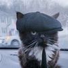 maksim63642
