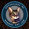 bengal_cat_le0