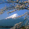 Aisa Fukaya