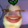 bimxinhieu_5