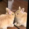 marshmall0ve