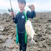 sanur428