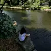 neversierrassagainn