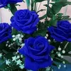 renate.mstl