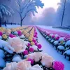fatima.hadouz2