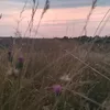 userq30625