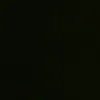 pattybien_