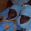 ibrahimsow0443