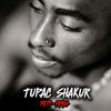 2pacamaru01