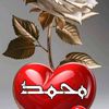 mahmadalrwy2