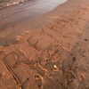 rayhanea_23