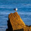 mohamdmohamed21