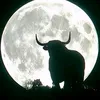 zeusdiosdelolimpo666