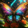 ButterFly 🦋