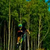 058_peter