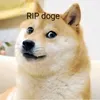 doge.rip5