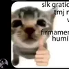 shishizon