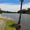 manduzinho2