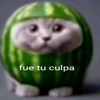 luis.aponte117