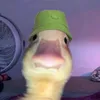 commonhat04