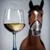 cavalo4516