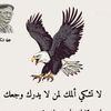 user32438143616700