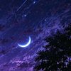 farah.alsapah
