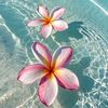 _limitless_soul_