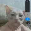 user470872677