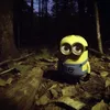 pushtq
