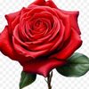 user3947812381788