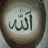 zafarashraf78