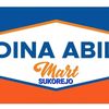 dina.abil0