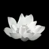 kieungoantran4