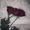 az.ab_1211